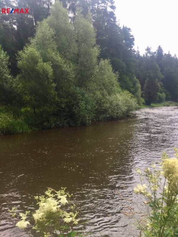 Prodej pozemku  -  Pořešín – Kaplice,  okr.: Český Krumlov